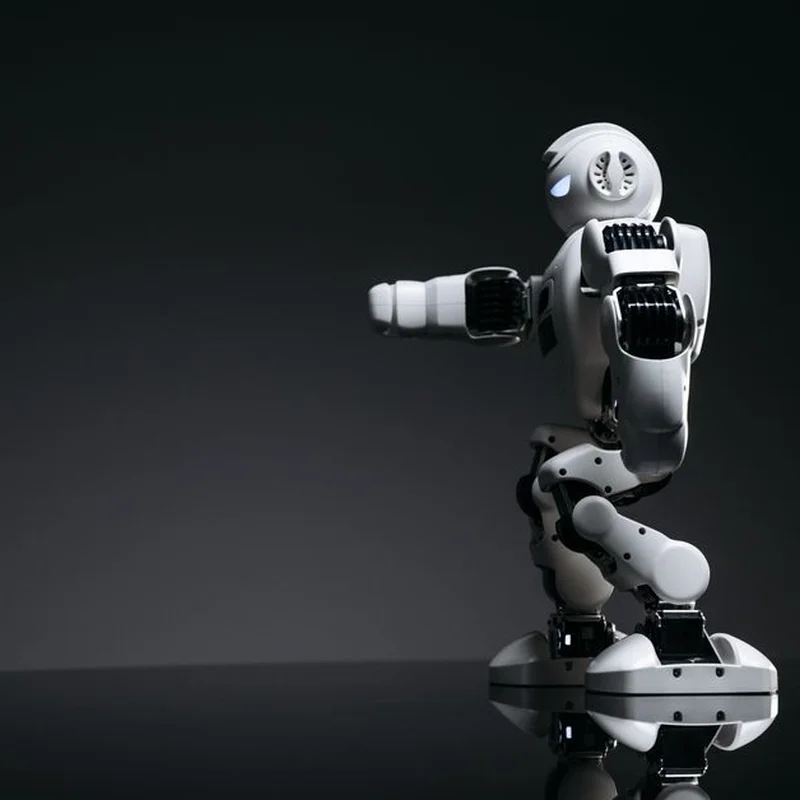기술 선구자가 말하는 '거대 AI 연구소들이 대중의 니즈를 모르는 이유'와 인공지능의 미래