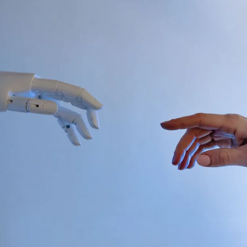 AI 편향이 초안 의미를 바꾼다, 낙태·기후 주제 심층분석